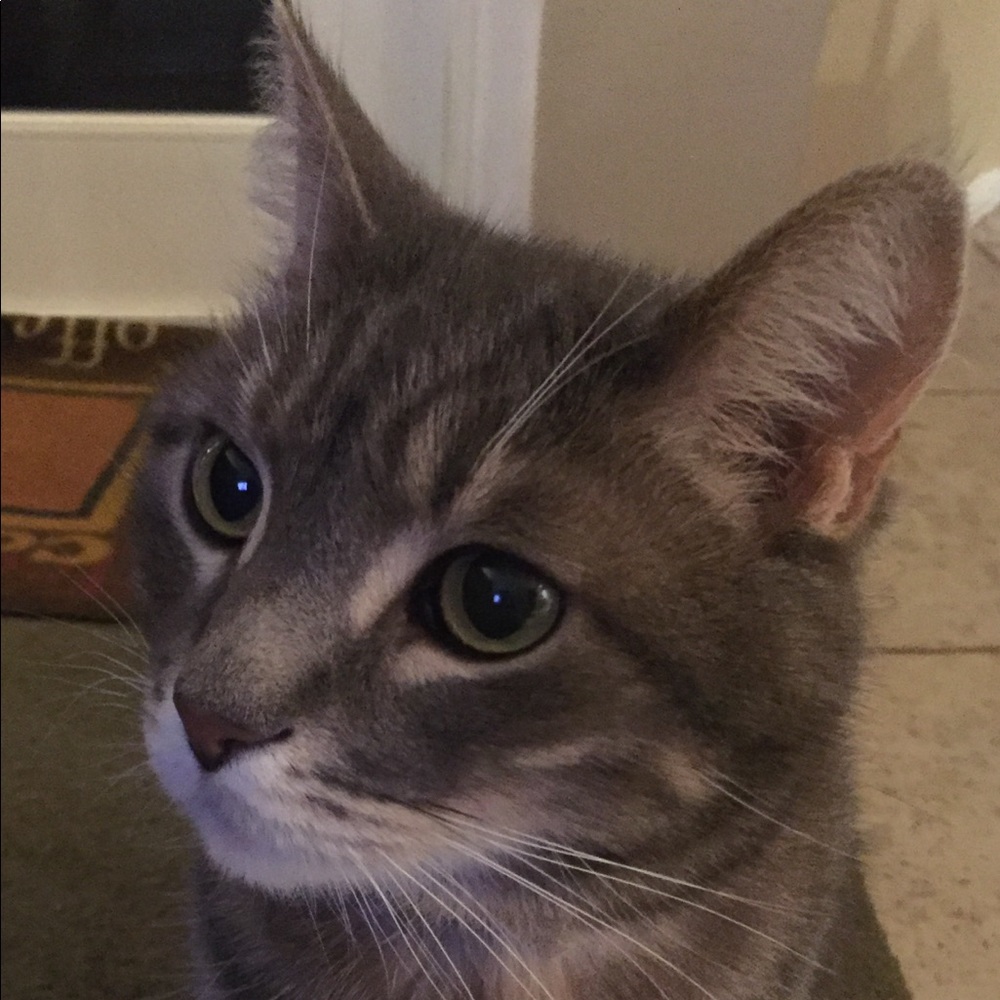 Meet your Posher, Yuko